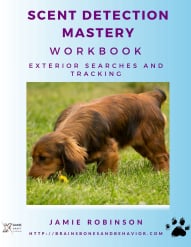 Scent Detection Mastery