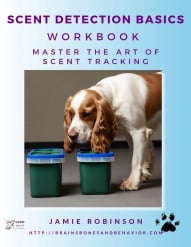 Scent Detection Basics