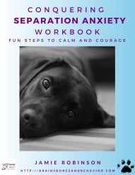 Conquering Separation Anxiety Workbook