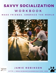Savvy Socialization Workbook