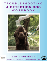 Troubleshooting A Detection Dog